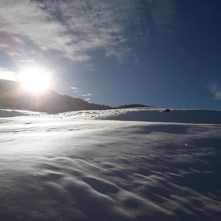 Ferienhaus Hochwimmer Hollersbach im Pinzgau Buitenkant foto