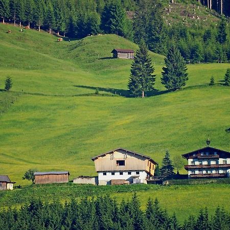 Ferienhaus Hochwimmer Hollersbach im Pinzgau Buitenkant foto