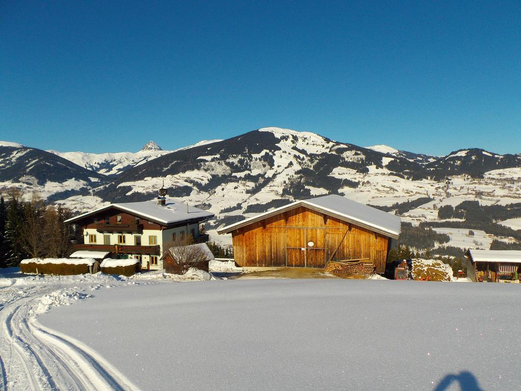 Ferienhaus Hochwimmer Hollersbach im Pinzgau Buitenkant foto